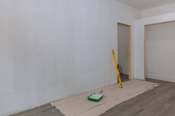 Best Ceiling Drywall Installation  in Byron, MN